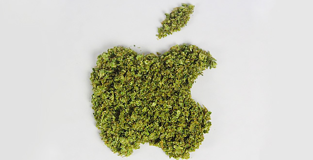 Apple chillt und lÃ¤sst Cannabis-App wieder in den Store