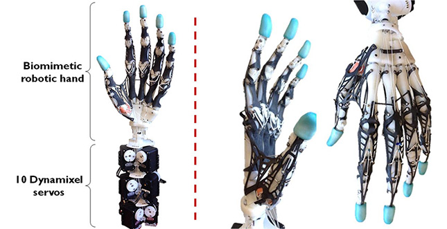 Die bisher detaillierteste Roboter-Hand (Video)