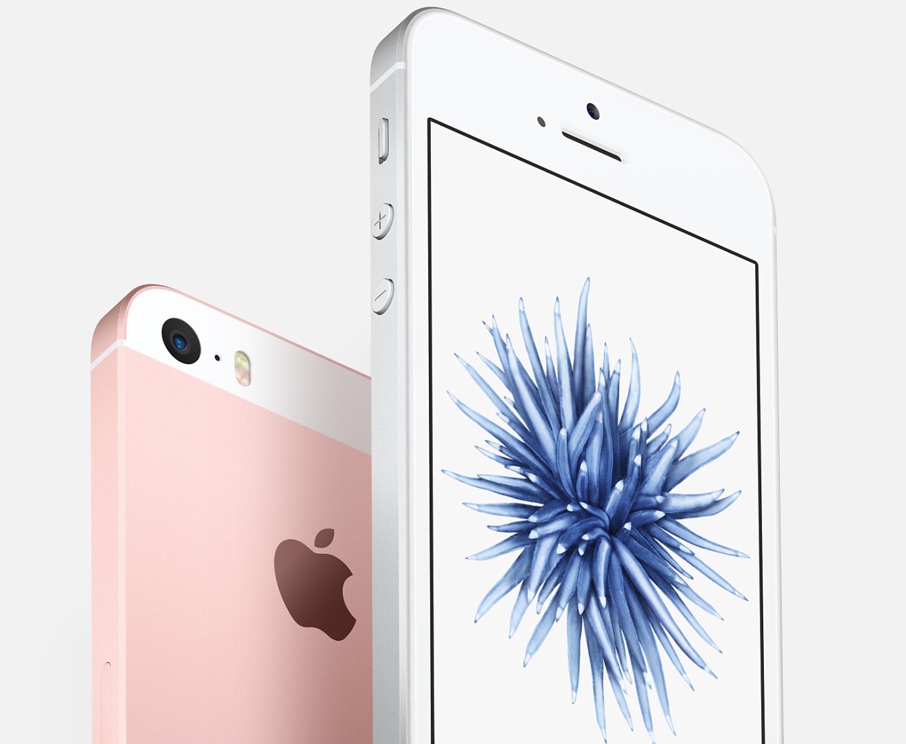 iPhone SE: Preis & alle Infos zum 4-Zoll KnÃ¼llerpaket › Weblogit